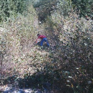 Northwest_connector_006