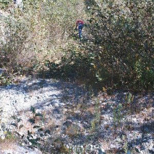 Northwest_connector_007