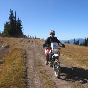 Crowfoot_09_029