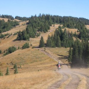 Crowfoot_09_031