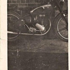 BSA_C11_b