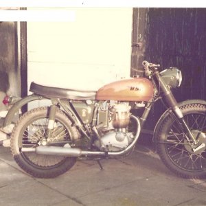 4_BSA_B40