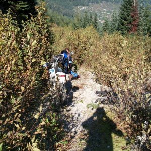Spuzzum Clear Creek FSR