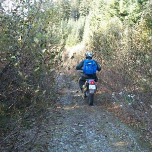 Spuzzum Clear Creek FSR