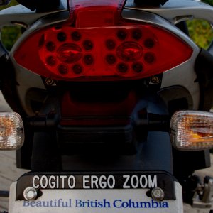 tail_plate_small