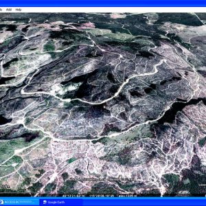 clearcut2