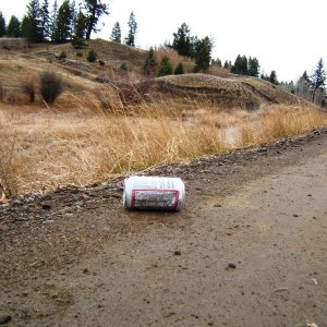 beercan