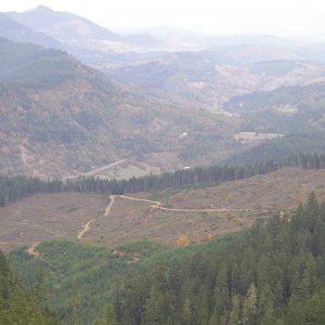 Oregon 
