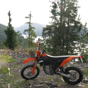Tahsis