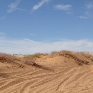 DSC02264