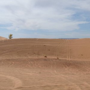 DSC023061