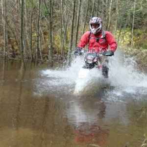 Dualsport_-_Hemlock_004