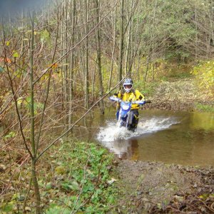 Dualsport_-_Hemlock_001