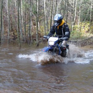 Dualsport_-_Hemlock_008