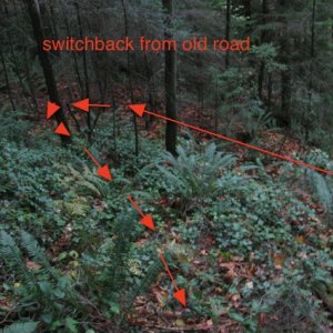 switchback