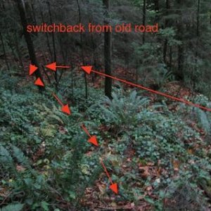 switchback1