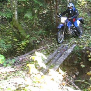mr_kokanee_nov1_bridge1