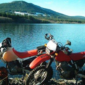 Hondas at Holland Lake