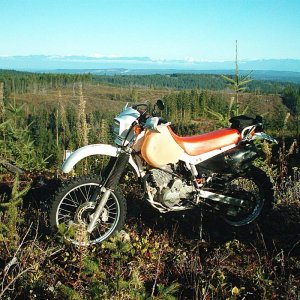 B.W.P. with a View