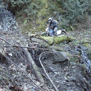 Church_Mtn_Bob_crossing_creek_on_Dashboard