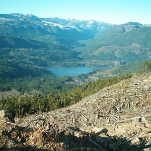 Horne Lake ?