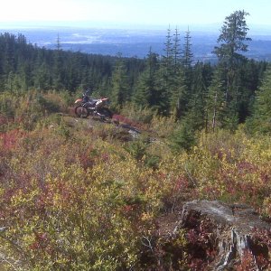 Burke Mtn Top with City View