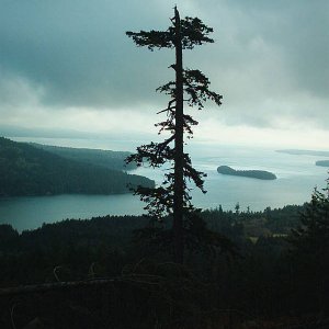 Saltspring Island
