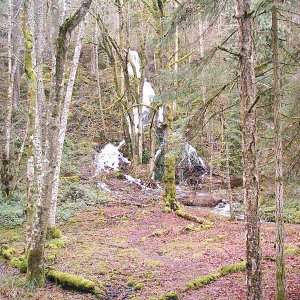 Saltspring Island