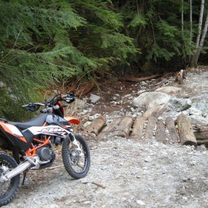 Lung Buster Creek Crossing
