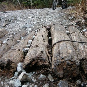 Lung Buster Log Crossing