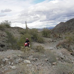 IMGP8878