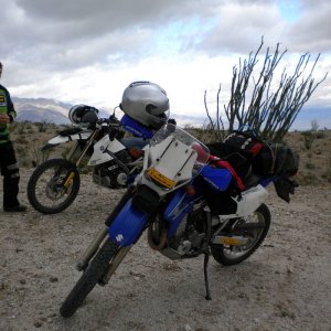 DSCN0021