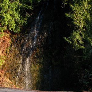 Picture_033
