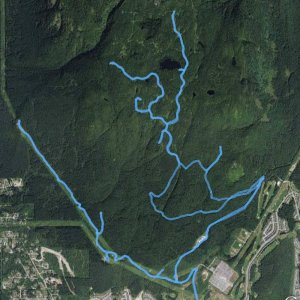 Cypress_Lake_Feb_7_2009
