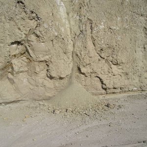 Anza Desert