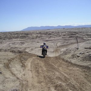 Ocotilla Wells