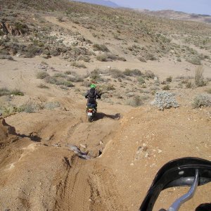 Anza Desert 