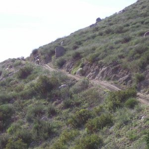 Ocotilla wells
