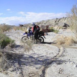Ocotilla Wells