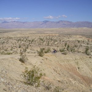 Borrego
