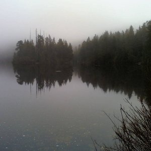 100214_120932