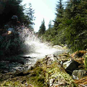 Big Splash