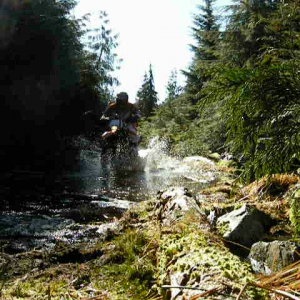 Splashing it