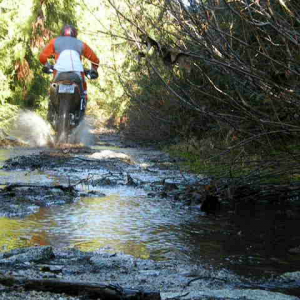Wet trails near the snow line