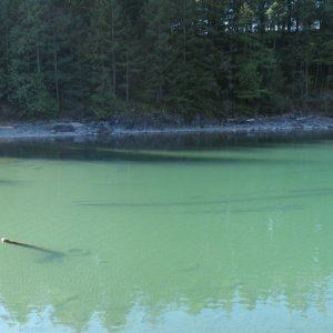 Picture_014_pano