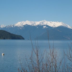 Picture_0191