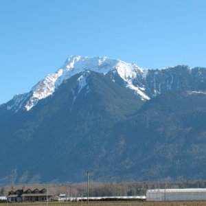 Picture_001
