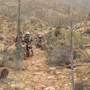 Bill Nicols trail, for miles