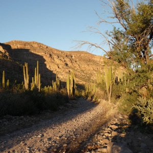 baja_2010_506