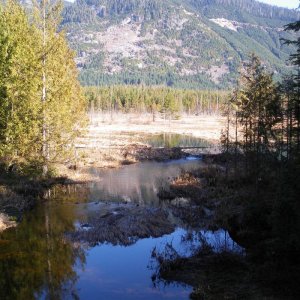 IMGP0268